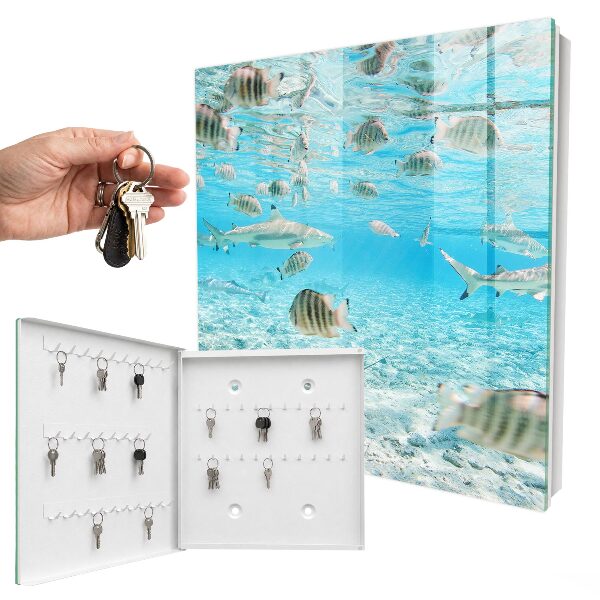 Key cabinet for wall Aquatic life