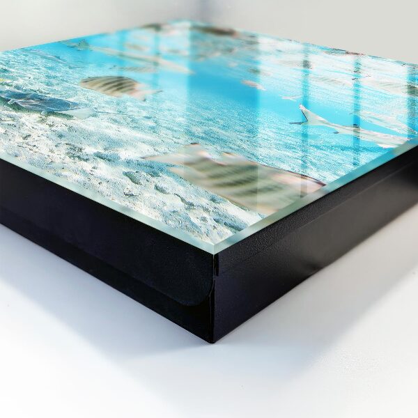 Key cabinet for wall Aquatic life