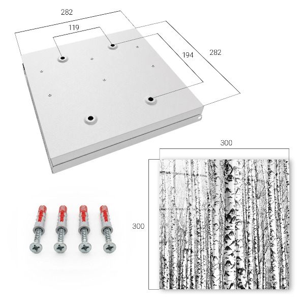 Key cabinet for wall Birch forest