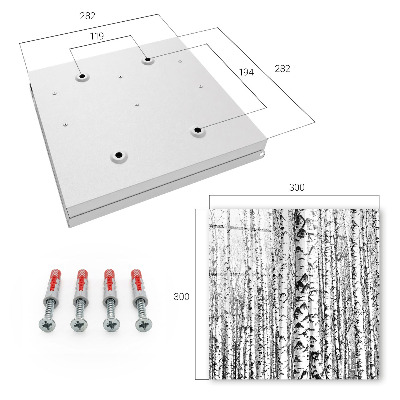 Key cabinet for wall Birch forest