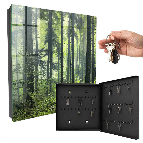 Key box Green forest