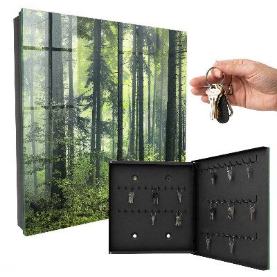 Key box Green forest