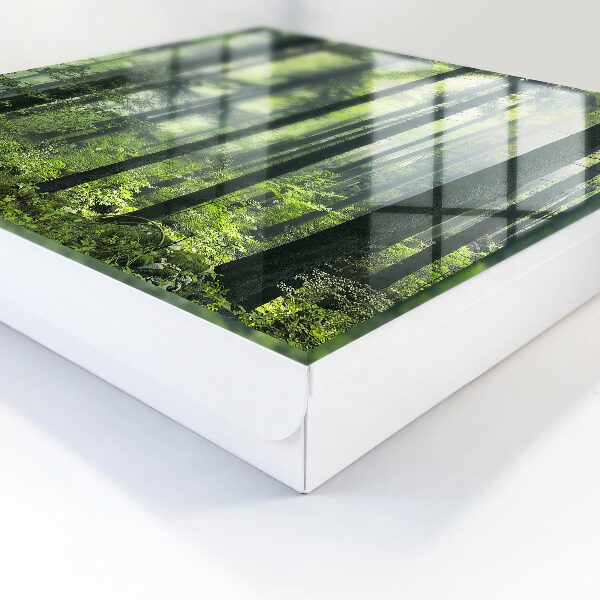 Key box Green forest