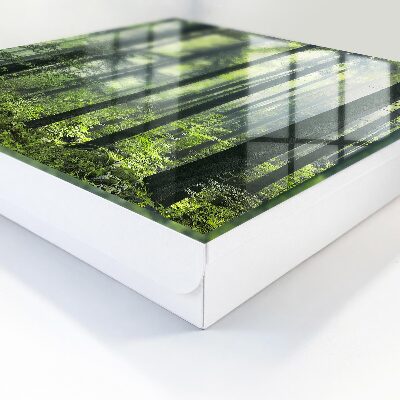 Key box Green forest