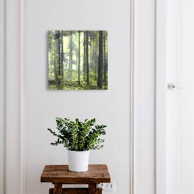 Key box Green forest