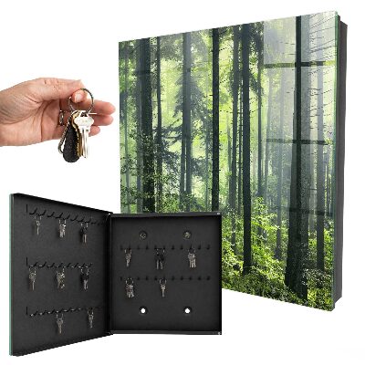 Key box Green forest