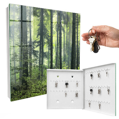 Key box Green forest