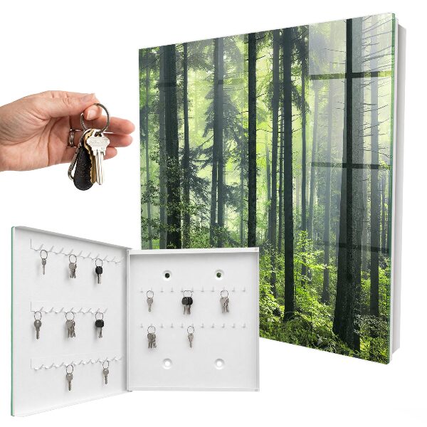 Key box Green forest