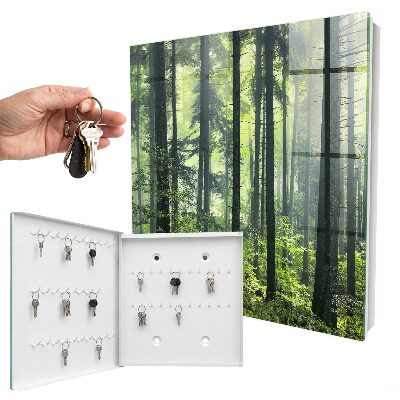 Key box Green forest