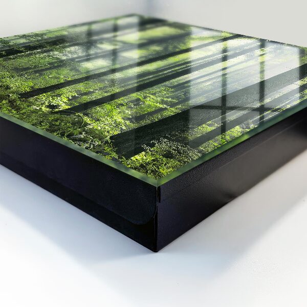 Key box Green forest