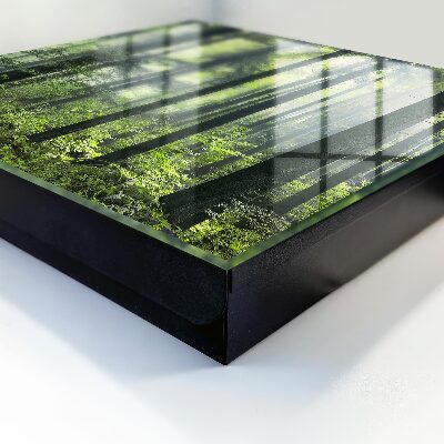 Key box Green forest