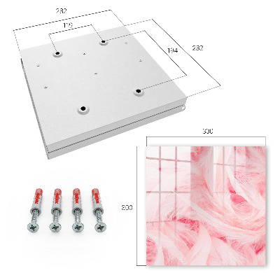 Key cabinet for wall Pink feathers