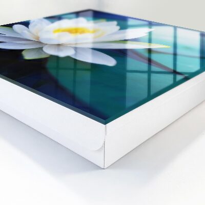 Key storage box Water lily