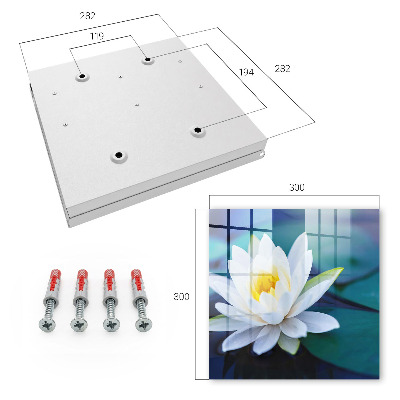 Key storage box Water lily