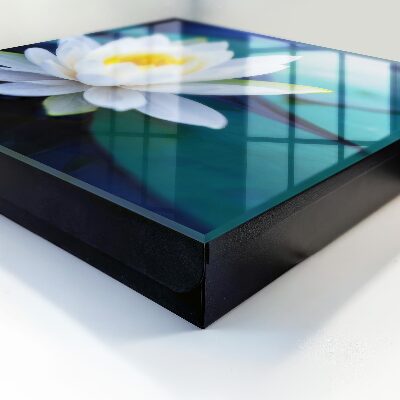 Key storage box Water lily