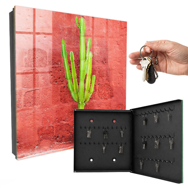 Key box Green cactus