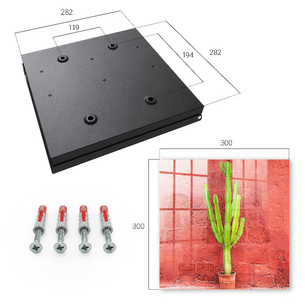Key box Green cactus