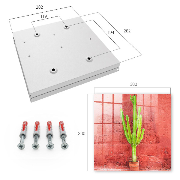 Key box Green cactus