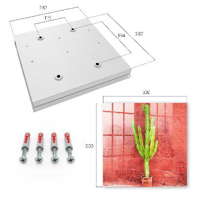 Key box Green cactus