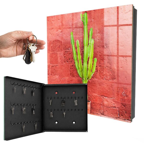 Key box Green cactus