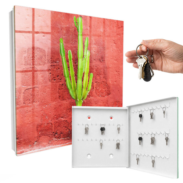 Key box Green cactus