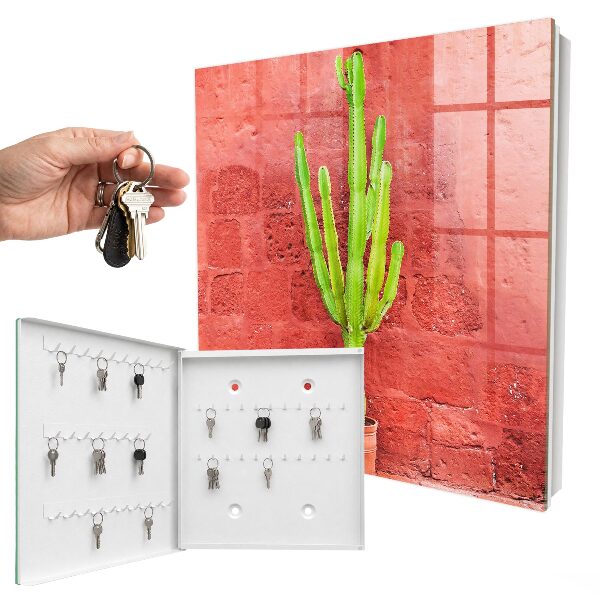 Key box Green cactus