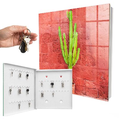 Key box Green cactus