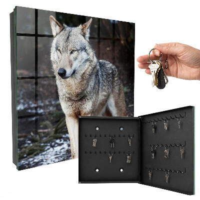 Key box Wolf in the forest