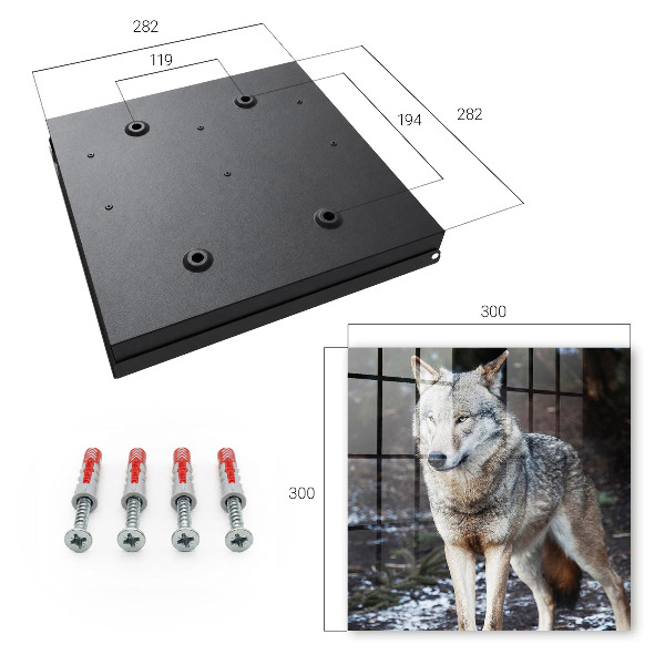 Key box Wolf in the forest
