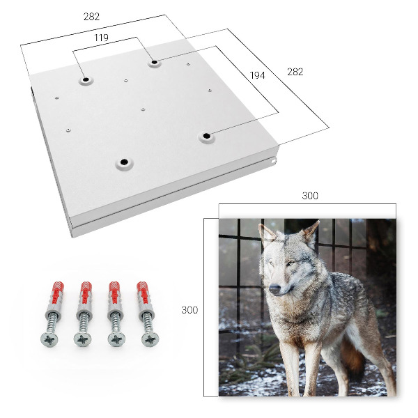 Key box Wolf in the forest