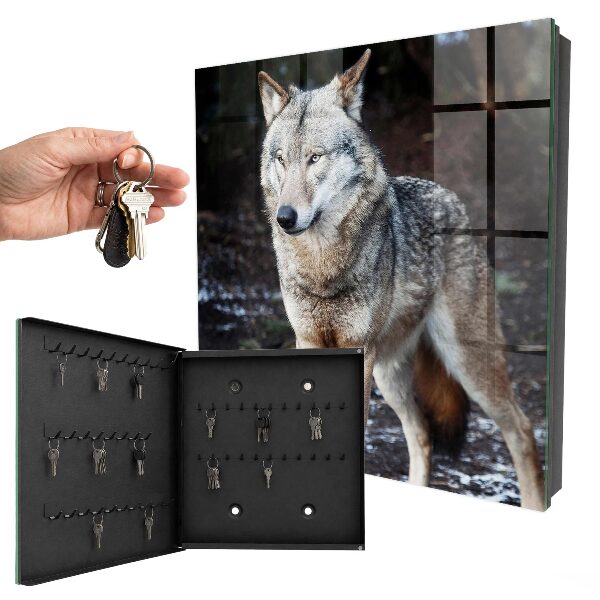 Key box Wolf in the forest