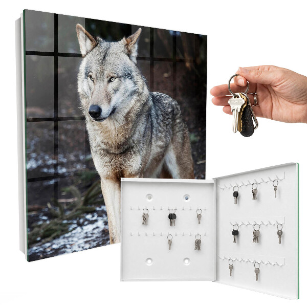 Key box Wolf in the forest