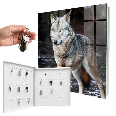 Key box Wolf in the forest