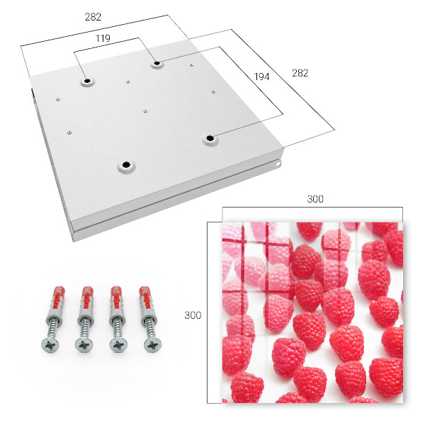 Key storage box Pink raspberries