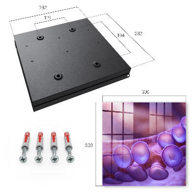 Key cabinet for wall Underwater harmony