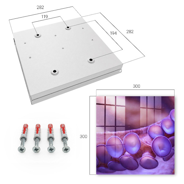 Key cabinet for wall Underwater harmony