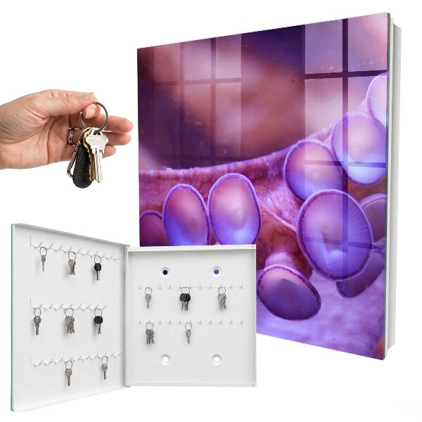 Key cabinet for wall Underwater harmony