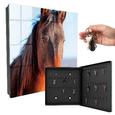 Key box Portrait of a horse