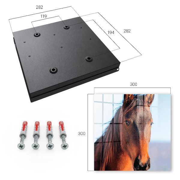 Key box Portrait of a horse