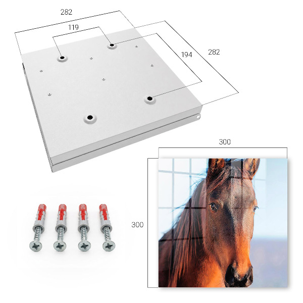 Key box Portrait of a horse
