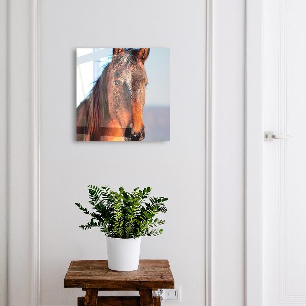 Key box Portrait of a horse