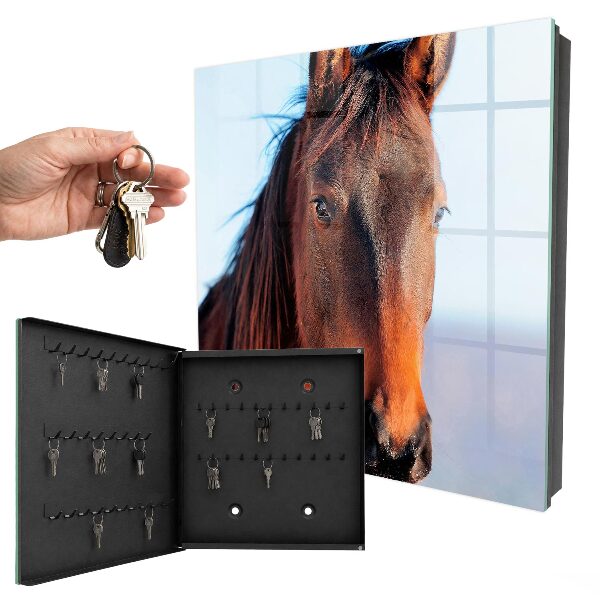 Key box Portrait of a horse