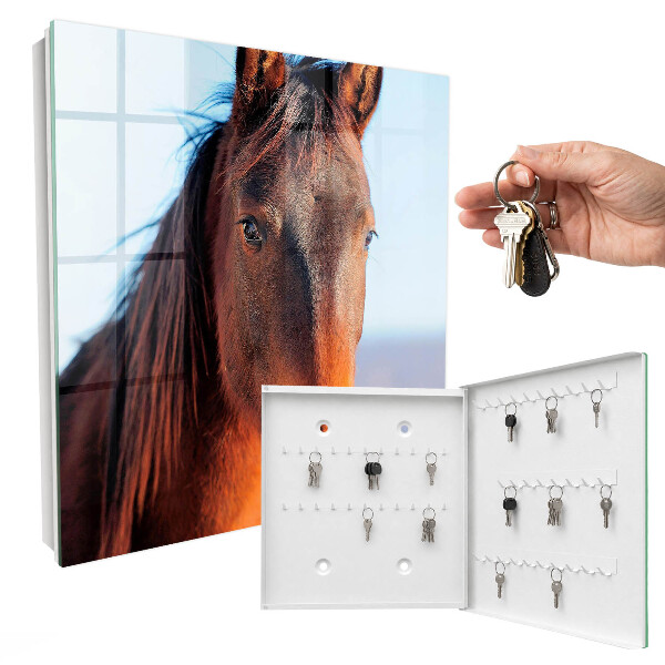 Key box Portrait of a horse