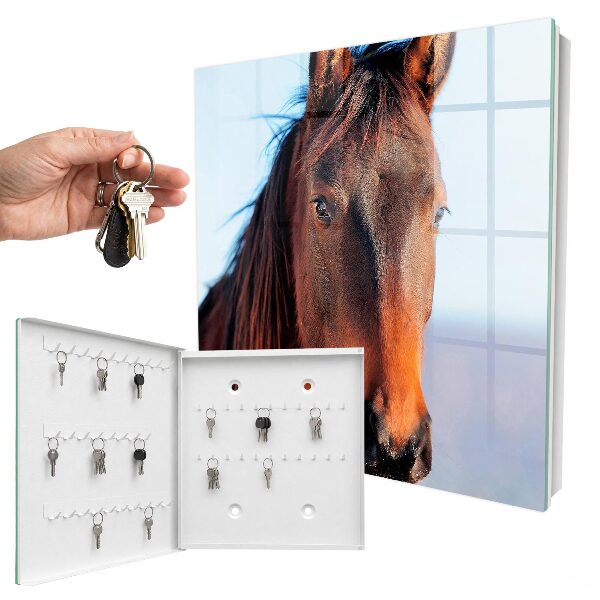 Key box Portrait of a horse