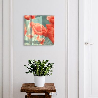 Key box Red poppies
