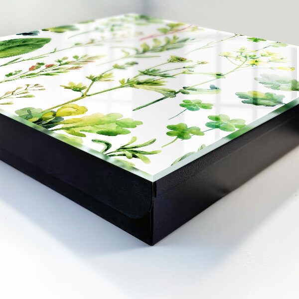 Key cabinet for wall Watercolor plants