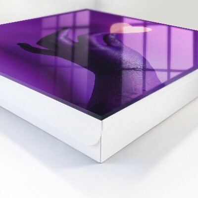 Key box Purple love