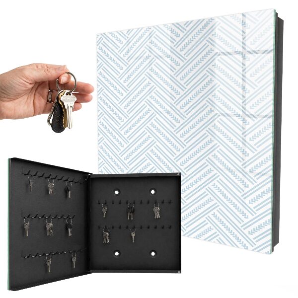 Key storage box Delicate fish bone