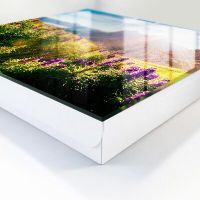 Key box Mountain idyll