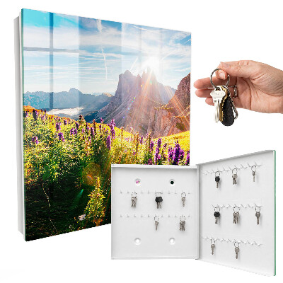 Key box Mountain idyll
